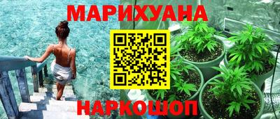 гашик Кандалакша