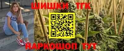 первитин Камышлов