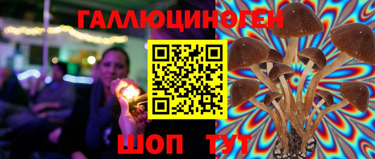 Галлюциногенные грибы Cubensis  Галлюциногенные грибы MAGIC MUSHROOMS  Кудымкар  Вход с VPN 