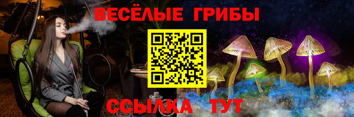 Псилоцибиновые грибы GOLDEN TEACHER Кудымкар